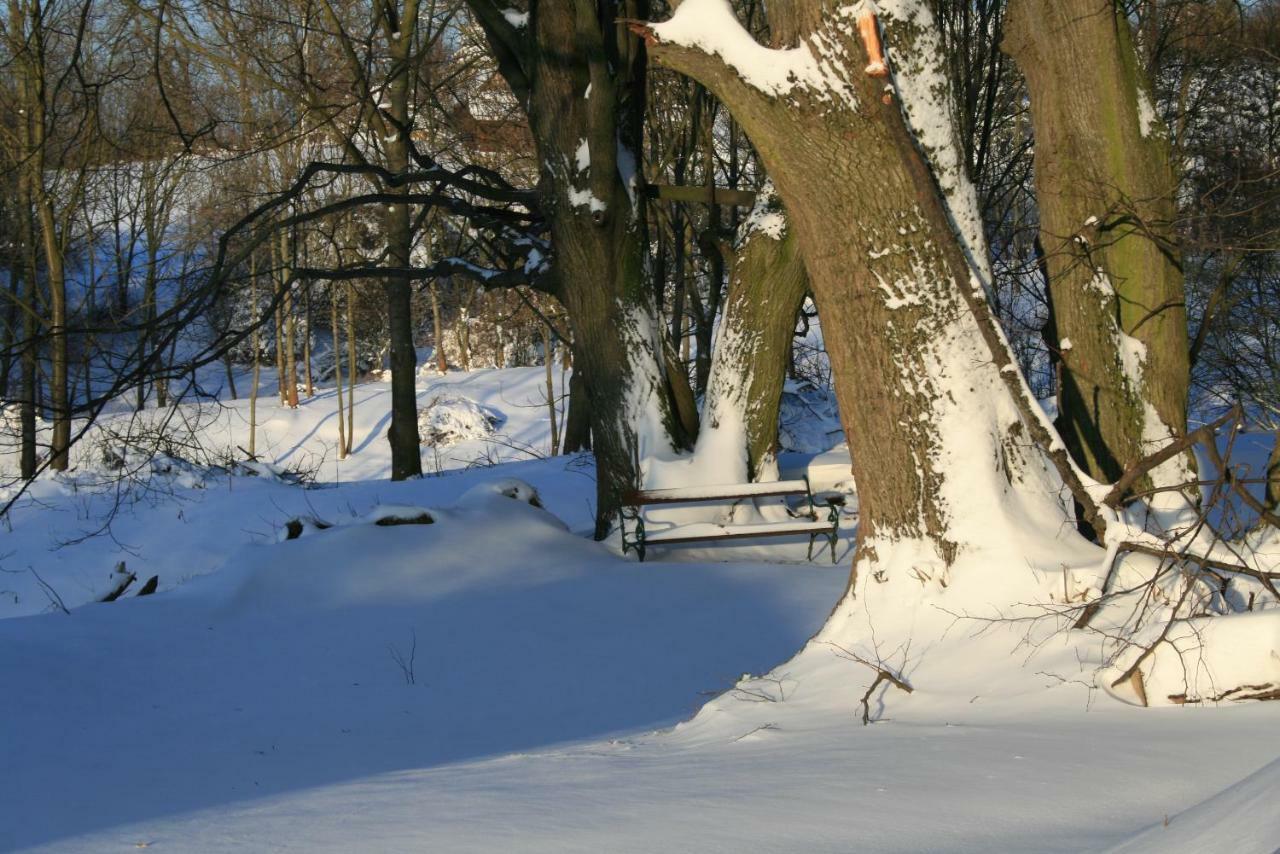Somhegyi Oereg Harsfak Major Vendeghaz Bed and Breakfast Bakonybél Exteriör bild